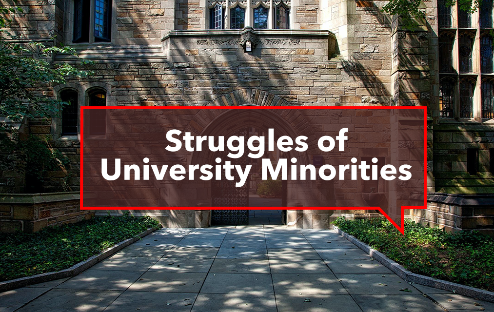 Struggles of University Minorities